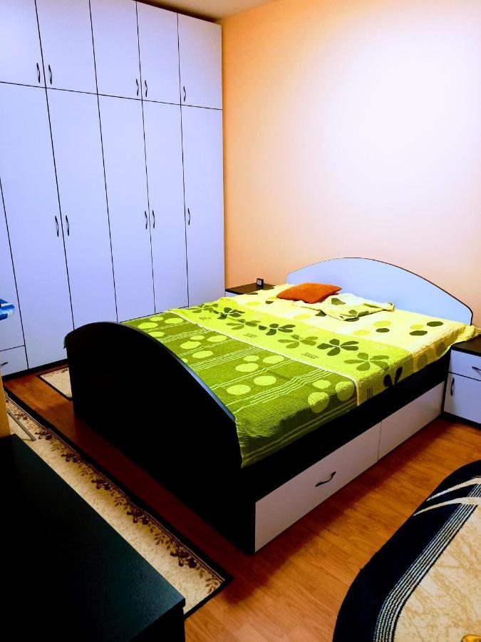 Apartament Stan Na Dan J & M Vrsac Zewnętrze zdjęcie