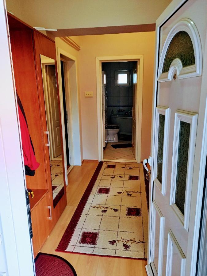 Apartament Stan Na Dan J & M Vrsac Zewnętrze zdjęcie