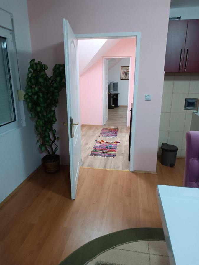 Apartament Stan Na Dan J & M Vrsac Zewnętrze zdjęcie